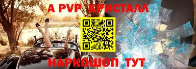 индика Дубна