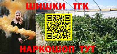 индика Дубна