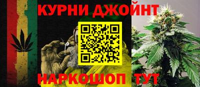 индика Дубна