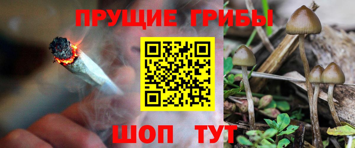 магазин  наркотиков  Галлюциногенные грибы мухоморы  Вход с VPN  Ленинск-Кузнецкий 